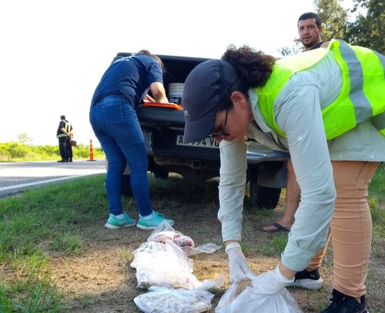 Sancionaron a dos frigoríficos pesqueros de Santa Fe por extraer del río ejemplares debajo de la talla mínima reglamentaria