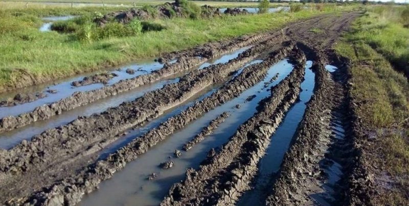 Caminos intransitables y anegamientos frenan la cosecha en el centro-norte de Santa Fe