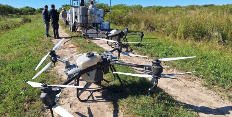Drones generan más carne con menos superficie en Garay: transforman paja y espartillo en pasturas