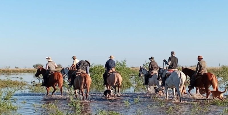 Inundación en Villa Minetti: evacuación de vecinos y rescate de animales