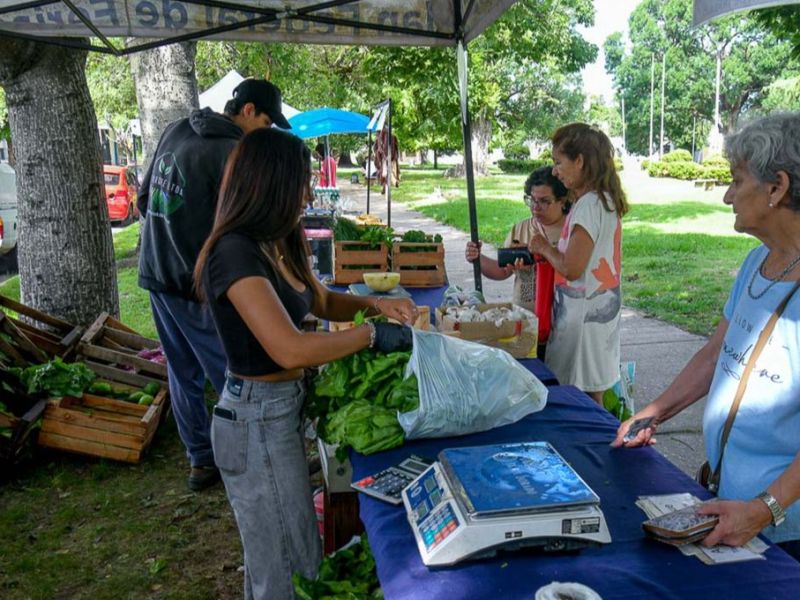 La Feria en tu barrio estará en cuatro sectores de Paraná