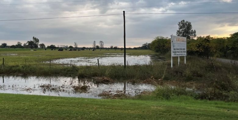 Lluvias de hasta 200 mm paralizan la cosecha en el centro-norte santafesino