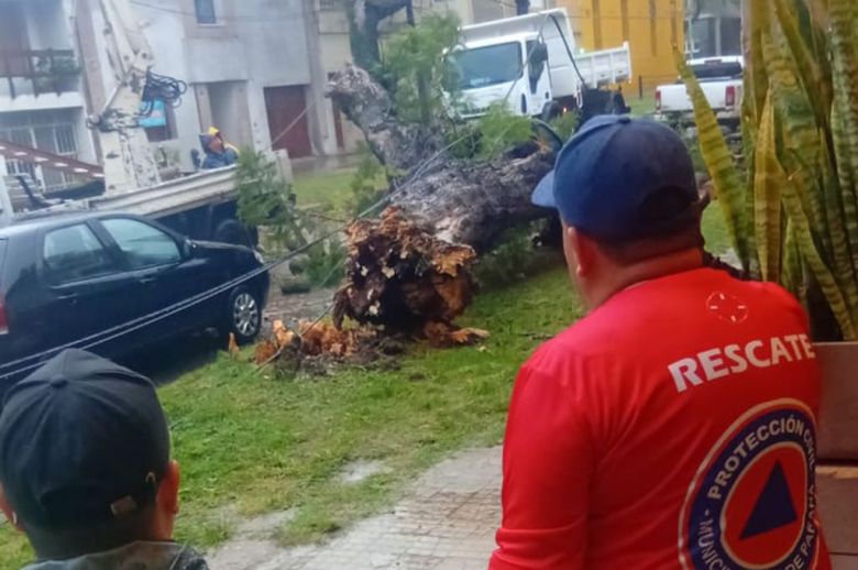 El Municipio atiende las contingencias en la ciudad por la lluvia y el viento
