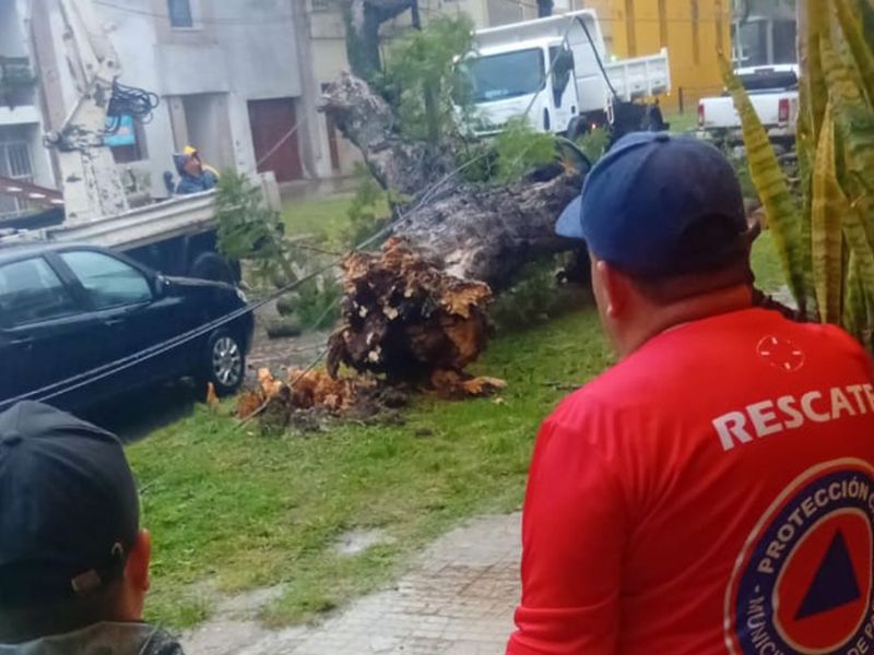 El Municipio atiende las contingencias en la ciudad por la lluvia y el viento
