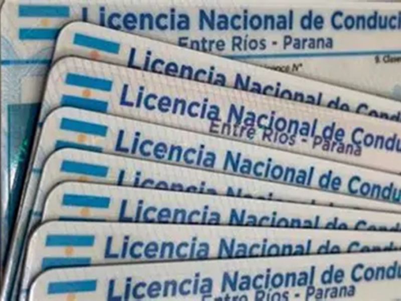 Entre Ríos prohíbe las licencias de conducir profesional a deudores alimentarios