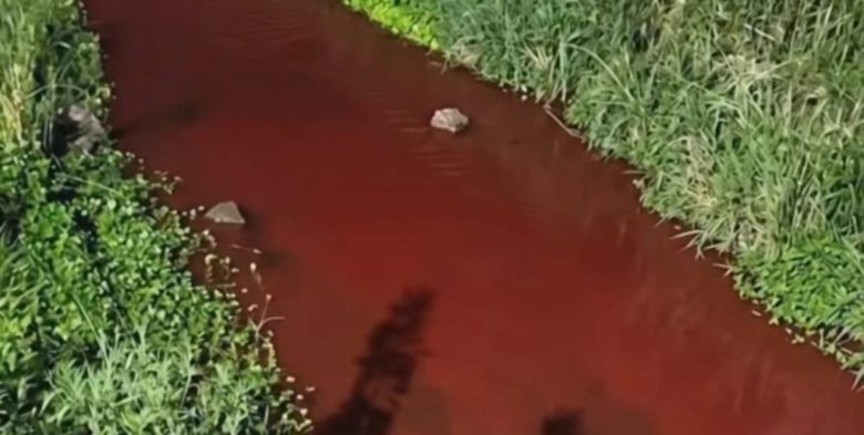 Alerta ambiental en Casilda por presunta contaminación con sangre y restos vacunos
