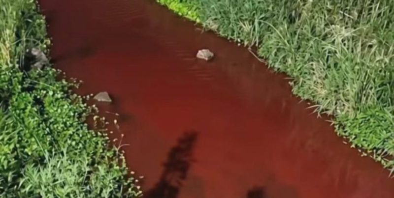 Alerta ambiental en Casilda por presunta contaminación con sangre y restos vacunos