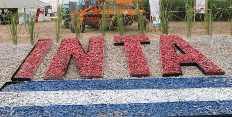 El Gobierno Nacional impulsa retiro voluntario en el INTA que podría afectar a cientos de empleados