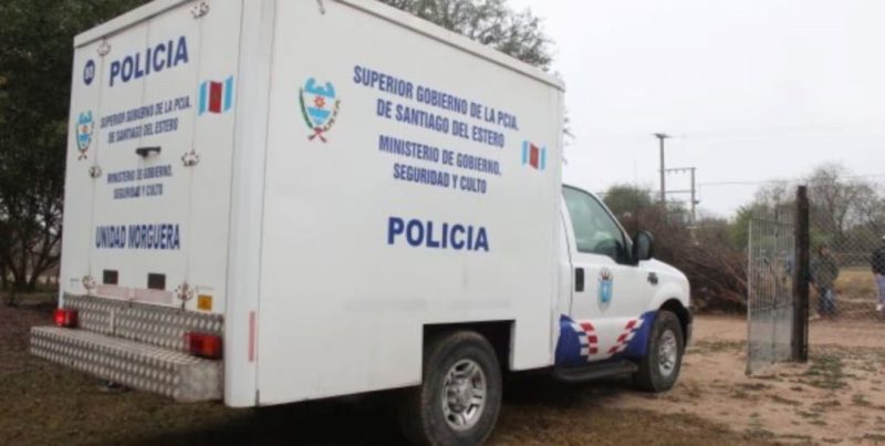 Santiago del Estero: un hombre de 91 años murió tras ser atacado por un enjambre de abejas