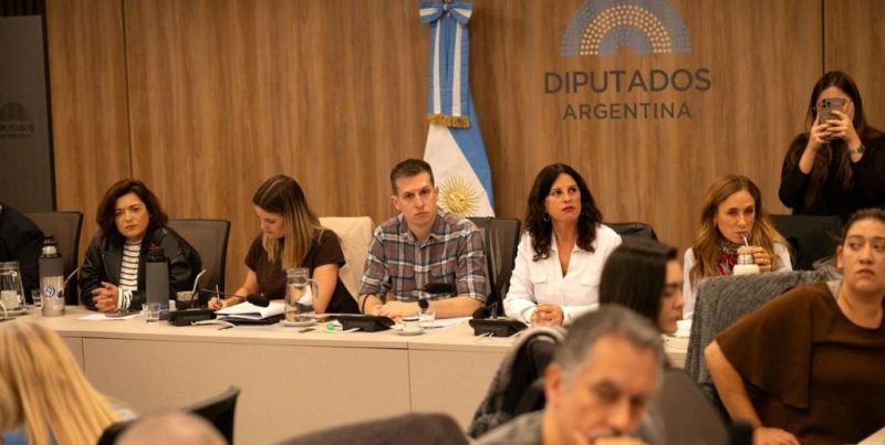Emergencia en Discapacidad: el Gobierno busca frenar la ley en la Corte, mientras Diputados y familiares exigen su implementación