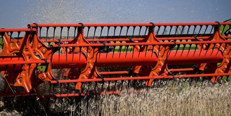 Rosario: Baja de retenciones impulsa siembra de trigo y cebada ante alza de costos