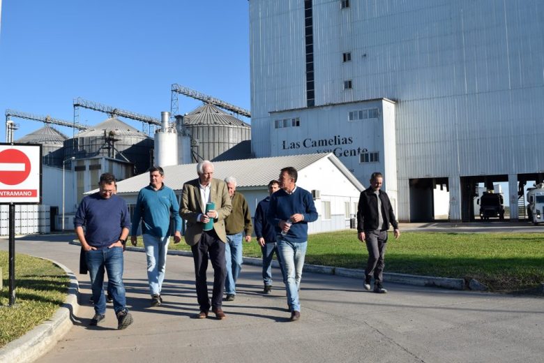 Proyecto avícola de Las Camelias en Villaguay alojará 522.000 aves con alta bioseguridad