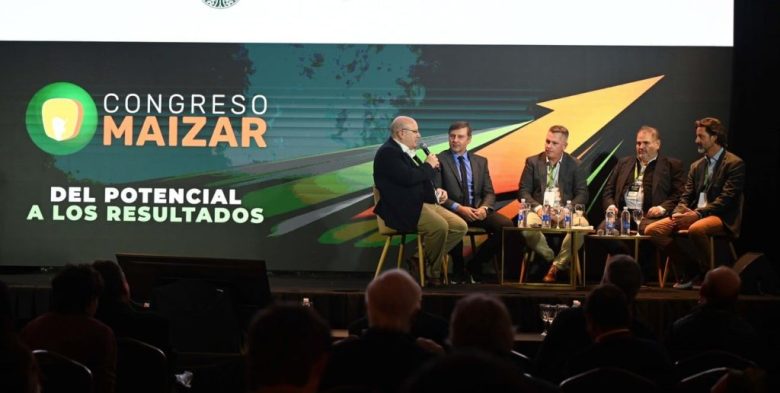 Maíz a proteína animal: la gran oportunidad productiva de Argentina