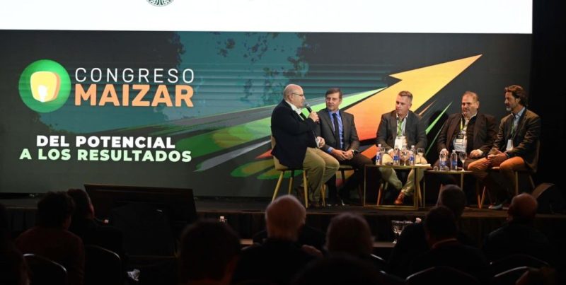 Maíz a proteína animal: la gran oportunidad productiva de Argentina