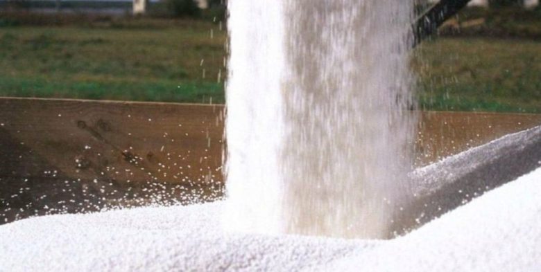 Región Núcleo: Por la baja de la urea, el recorte de área de trigo se reduce al 12%