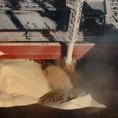 Harina de soja: Brasil desafía el liderazgo argentino y pone a prueba la competitividad del complejo sojero