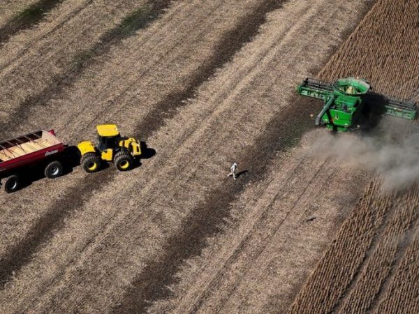 Lluvias demoran cosecha de soja y maíz en el centro-norte santafesino y ralentizan siembra de trigo