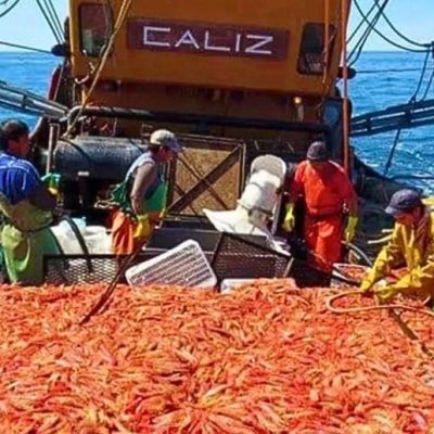 Producción pesquera: la actividad cayó en abril, pero el primer cuatrimestre cierra con crecimiento