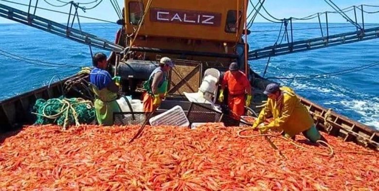 Producción pesquera: la actividad cayó en abril, pero el primer cuatrimestre cierra con crecimiento