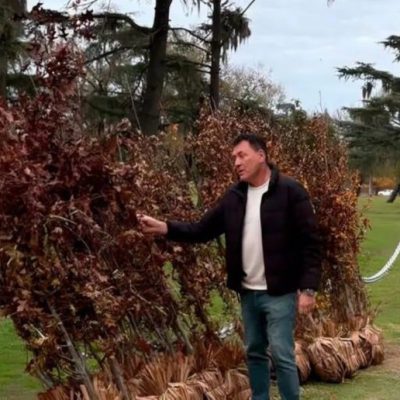 San Lorenzo: comenzó la renovación del arbolado en el Campo de la Gloria