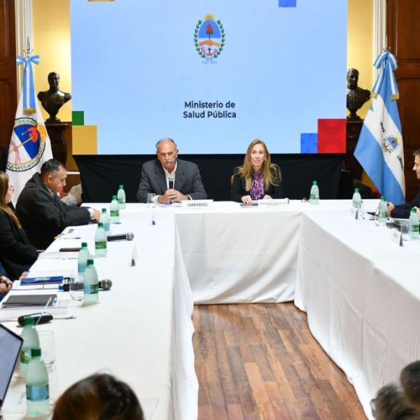 Entre Ríos: el ministro Daniel Blanzaco participó en Corrientes de la reunión de Salud del Litoral