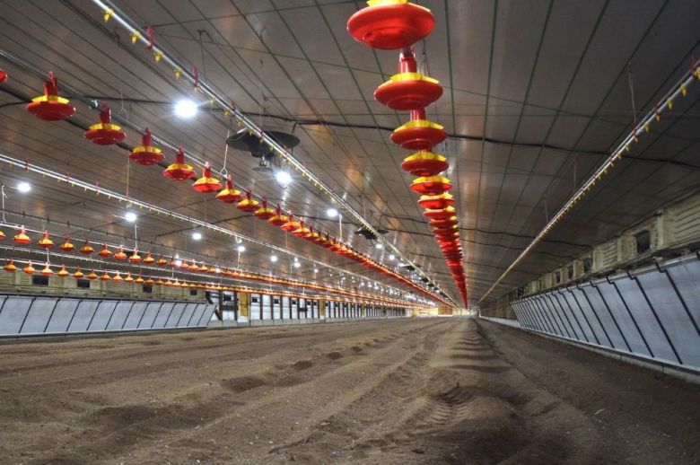 Inversión avícola millonaria en Villaguay: construyen una granja con tecnología de punta