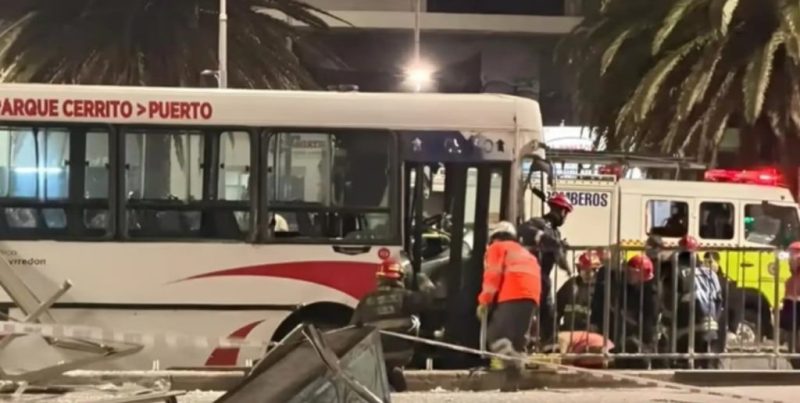 Mar del Plata: declaró el chofer del colectivo tras el fatal accidente que le costó la vida a una joven