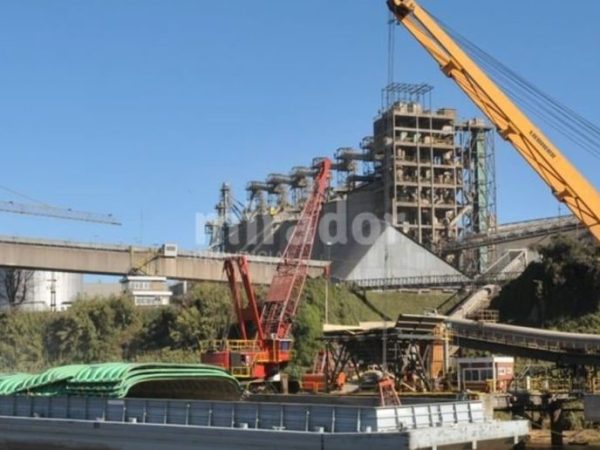 Comercio exterior: India es nuevamente el principal destino de las exportaciones de Santa Fe