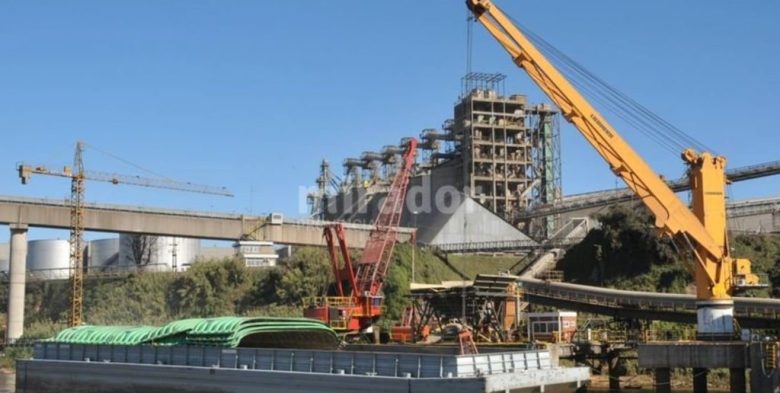 Comercio exterior: India es nuevamente el principal destino de las exportaciones de Santa Fe