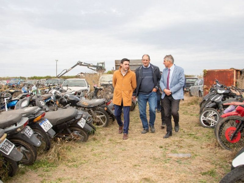 Más de 1.500 vehículos: la Provincia inició un nuevo procedimiento de compactación en Bella Italia