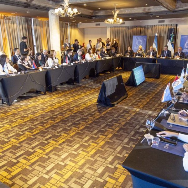 Entre Ríos participó en Bariloche de la IX Sesión Plenaria del Consejo Federal de Relaciones Exteriores y Comercio Internacional