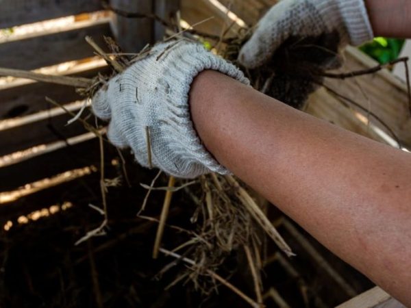 Humboldt implementará un plan para la valorización de residuos orgánicos