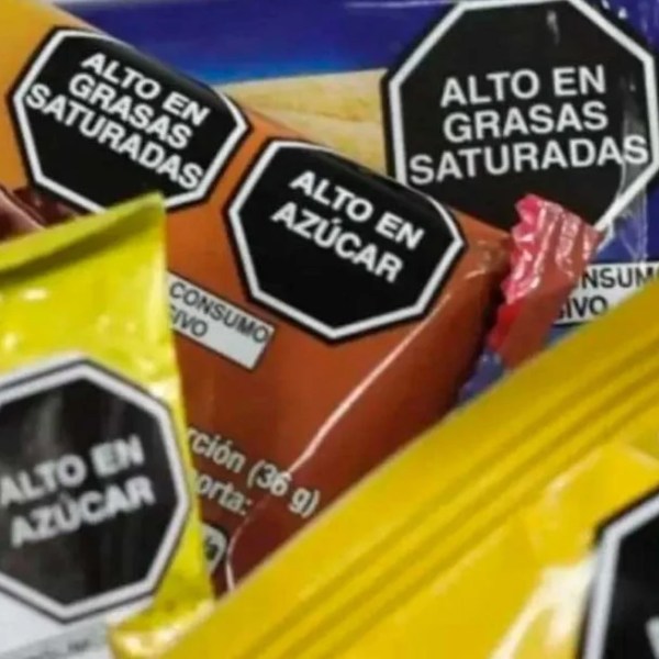 Etiquetado frontal: por qué los pediatras rechazan cambios en la ley de alimentos