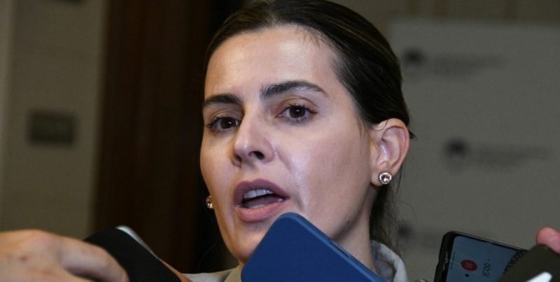 Ficha Limpia para contratistas del Estado: el Senado analiza el proyecto de ley