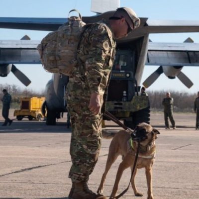 Fuerzas Armadas Argentinas refuerzan despliegue en Venezuela para tareas de búsqueda y rescate