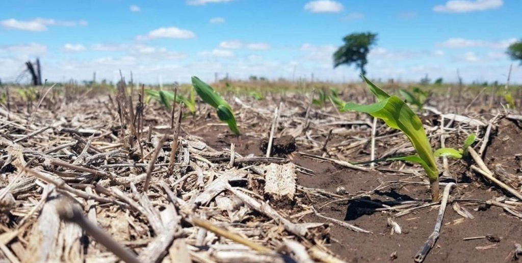 Santa Fe impulsa nueve medidas contra el cambio climático, en sintonía con los Acuerdos de París