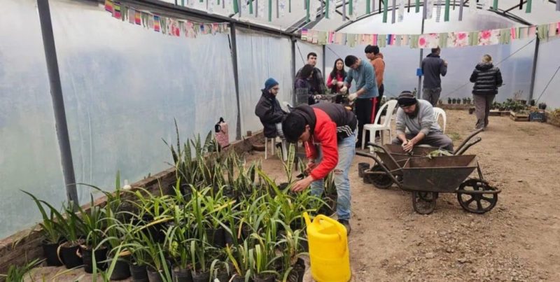 El Vivero Inclusivo de San Lorenzo suma nuevas herramientas para potenciar su producción