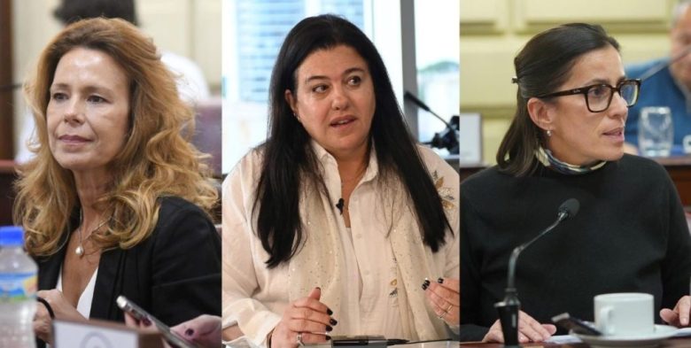 Proyecto de reforma electoral: diputadas del PRO en Unidos apuntan a transparentar el sistema en Santa Fe