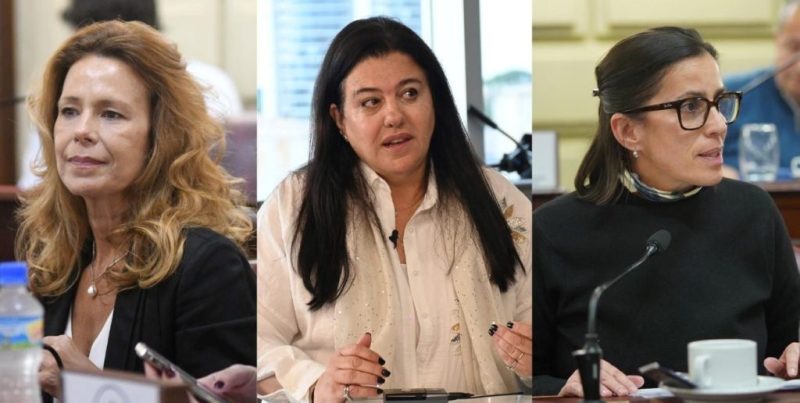 Proyecto de reforma electoral: diputadas del PRO en Unidos apuntan a transparentar el sistema en Santa Fe