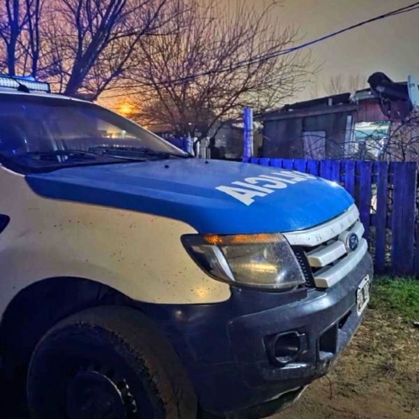 Concordia: fueron por una denuncia de violencia de género y hallaron 255 plantas de marihuana