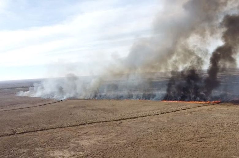 Entre Ríos desplegó brigadistas para contener incendios en el Delta