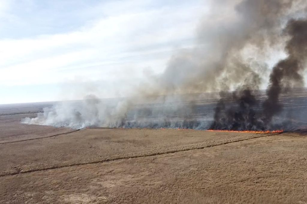 Entre Ríos desplegó brigadistas para contener incendios en el Delta