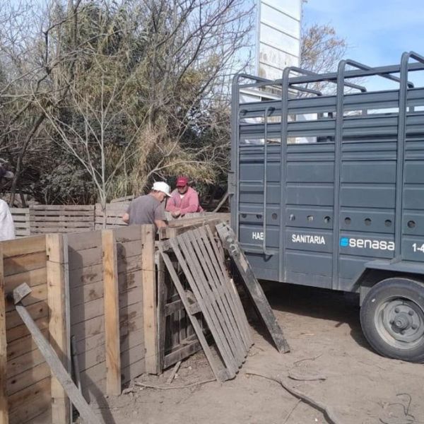 Alerta por triquinosis en un criadero de Ibarlucea