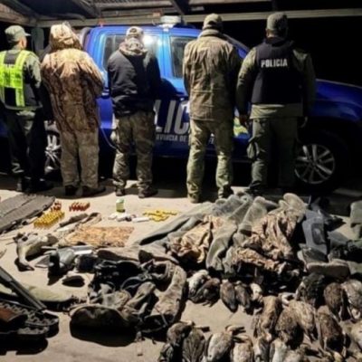Caza ilegal en el norte santafesino: tres detenidos y dos turistas franceses implicados