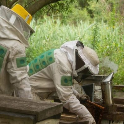 Exportaciones agroindustriales: el volumen impulsa el crecimiento anual por encima de los precios