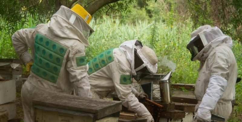 Exportaciones agroindustriales: el volumen impulsa el crecimiento anual por encima de los precios