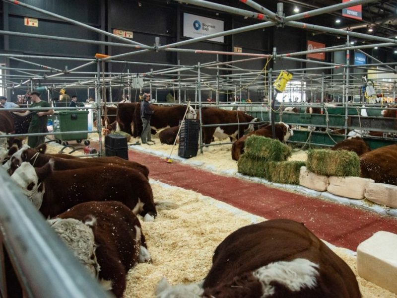 El Gobierno de Entre Ríos distinguirá este miércoles a 32 cabañeros en la Rural de Palermo