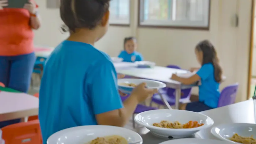 Acogen amparo colectivo contra la centralización de la compra de alimentos para comedores escolares de la provincia
