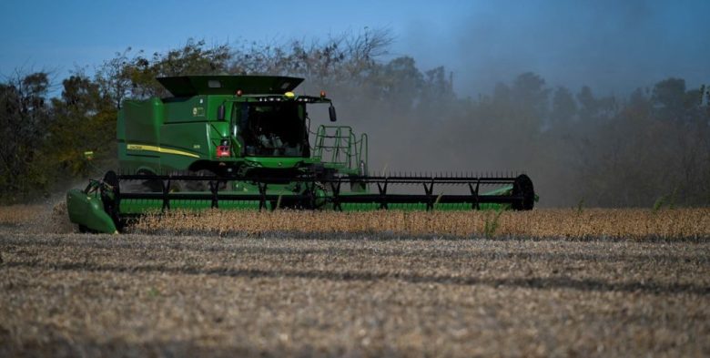 Soja: cosecha récord de 6 millones de toneladas en el centro-norte santafesino