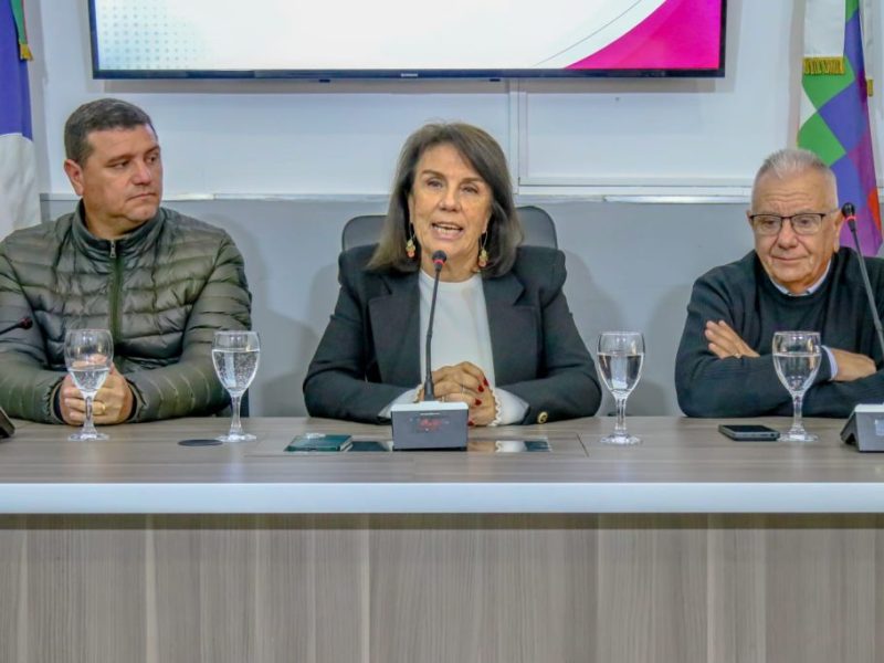 El patín del centro del país volvió a elegir Reconquista para hacer su nido